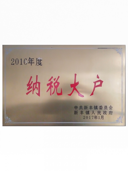 Large taxpayer in 2016